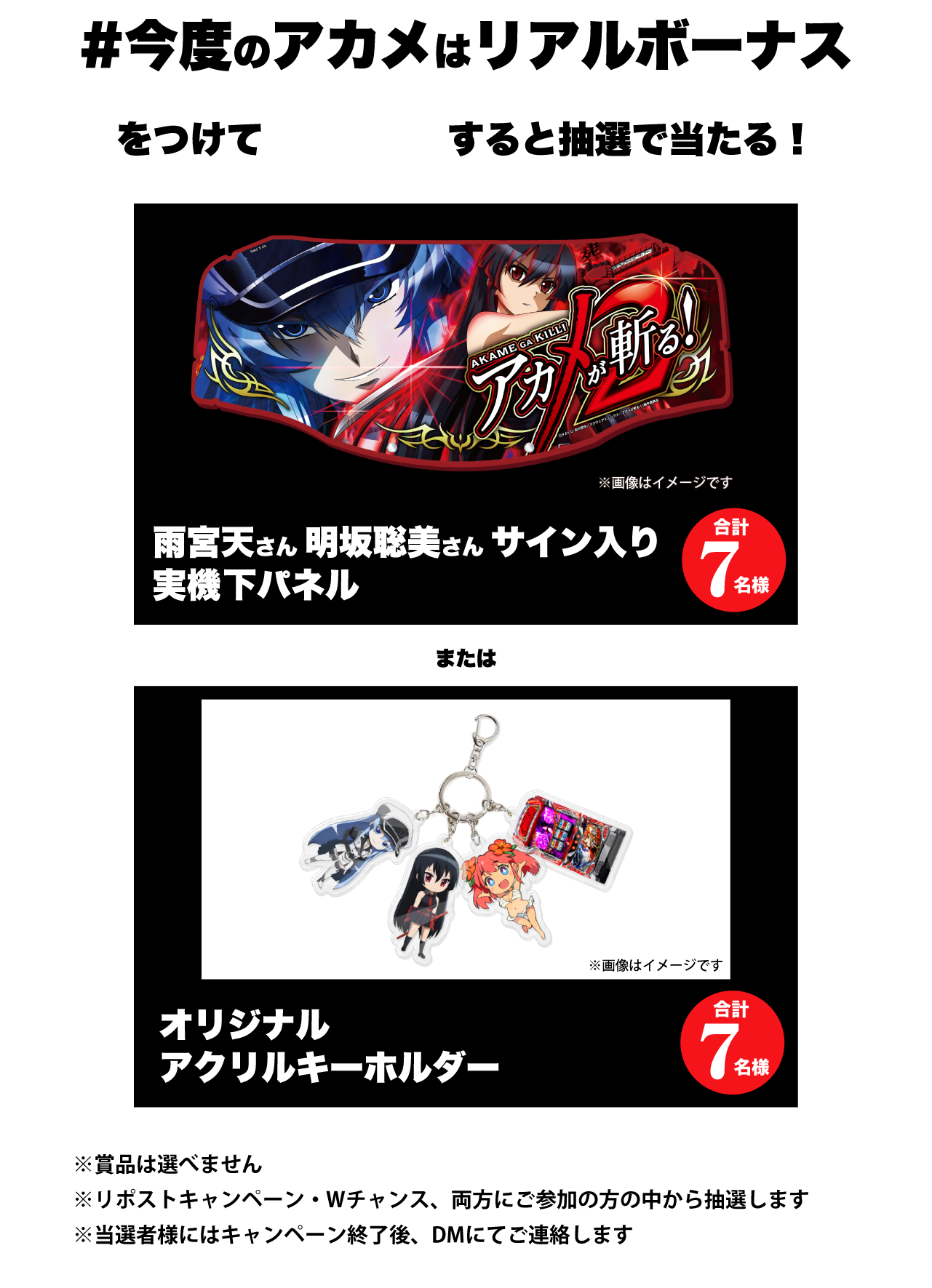 L アカメが斬る! 2 導入記念キャンペーンサイト L アカメが斬る! 2 導入記念キャンペーンサイト